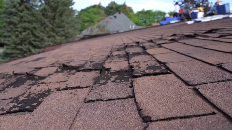 Best Emergency Roof Repair Services  in Dickson, OK