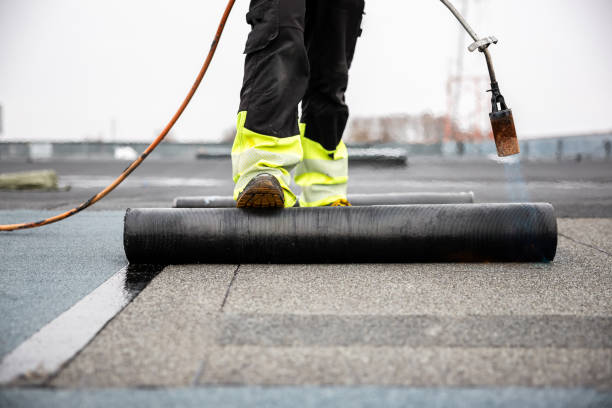 Best Roof Moss and Algae Removal  in Dickson, OK